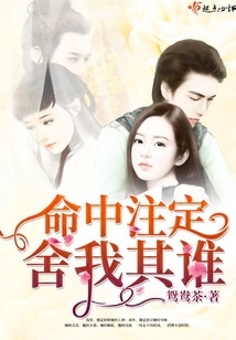 命中注定舍我其誰