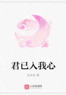 君已入我心