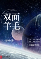 雙面羊毛在線閱讀