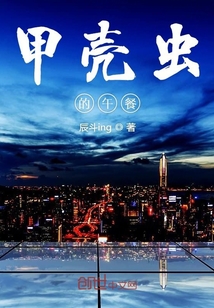 甲殼蟲的午餐