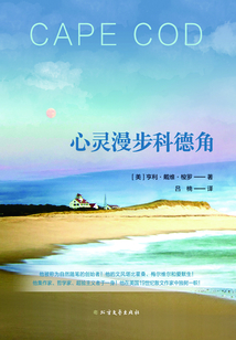 心靈漫步科德角