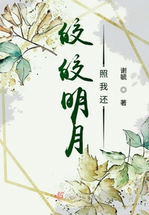 皎皎明月照我還