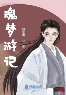 魂夢游記