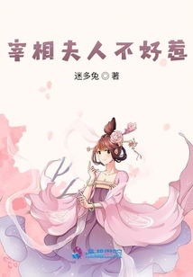宰相夫人不好惹