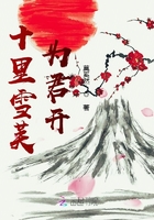 十里雪芙為君開在線閱讀