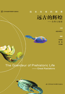 遠古的輝煌：生物大輻射