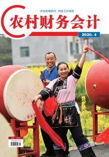 農村財務會計（2020年第4期）