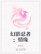 幻影忍者:情缘