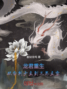 龙君重生：从审判少主到三界主宰在线阅读