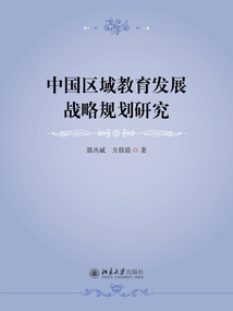 中國區域教育發展戰略規劃研究