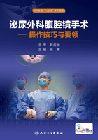 泌尿外科腹腔镜手术·操作技巧与要领