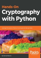 Hands-On Cryptography with Python