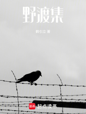 野渡集在线阅读