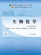 生物化学（全国中医药行业高等教育“十四五”规划教材）在线阅读