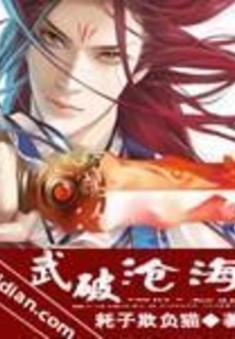 武破沧海 cover