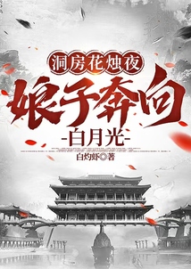 洞房花燭夜，娘子奔向白月光