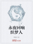 永夜回响织梦人在线阅读