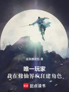 唯一玩家:我在修仙界疯狂建角色在线阅读