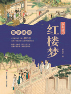 少年读红楼梦·繁华成空在线阅读