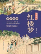少年读红楼梦·繁华成空在线阅读