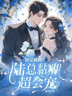 撩完就跑?陆总黏糊超会宠在线阅读