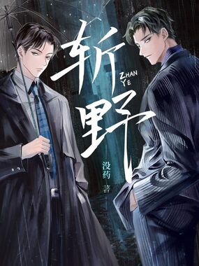 斩野在线阅读