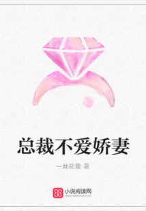 总裁不爱娇妻