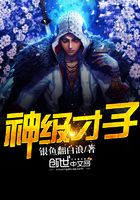 神級才子在線閱讀