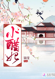 小醋妃