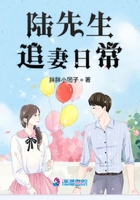 陆先生追妻日常