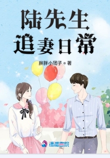 陸先生追妻日常