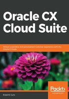 Oracle CX Cloud Suite在线阅读