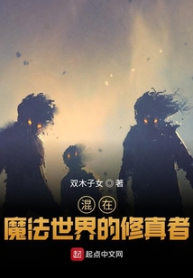 混在魔法世界的修真者