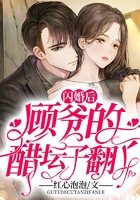 闪婚后,顾爷的醋坛子翻了!