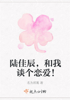 陆佳辰，和我谈个恋爱！