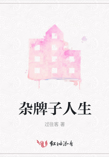 雜牌子人生