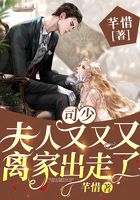 司少，夫人又又又離家出走了在線閱讀