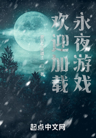 欢迎加载永夜游戏在线阅读