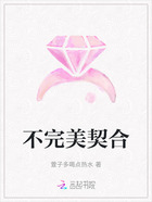 不完美契合在线阅读