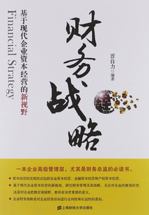 財務戰略：基于現代企業資本經營的新視野