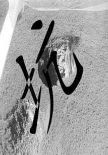 洛溪落兮