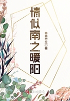 情似南之暖陽在線閱讀