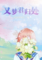 又夢君歸處在線閱讀