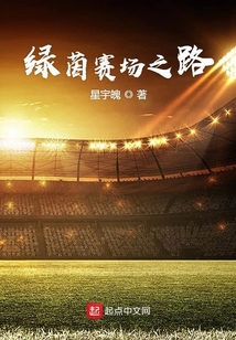綠茵賽場之路