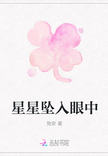 星星墜入眼中