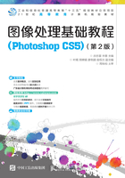 图像处理基础教程（Photoshop CS5）（第2版）在线阅读