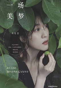 一场美梦