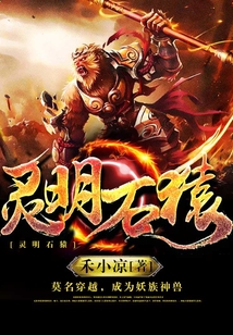 灵明石猿 cover