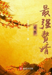 大齊贅婿