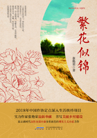 繁花似錦在線閱讀